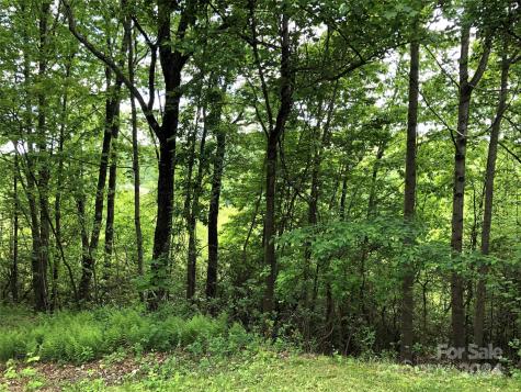 211 Bent Pine Trace Hendersonville NC 28739