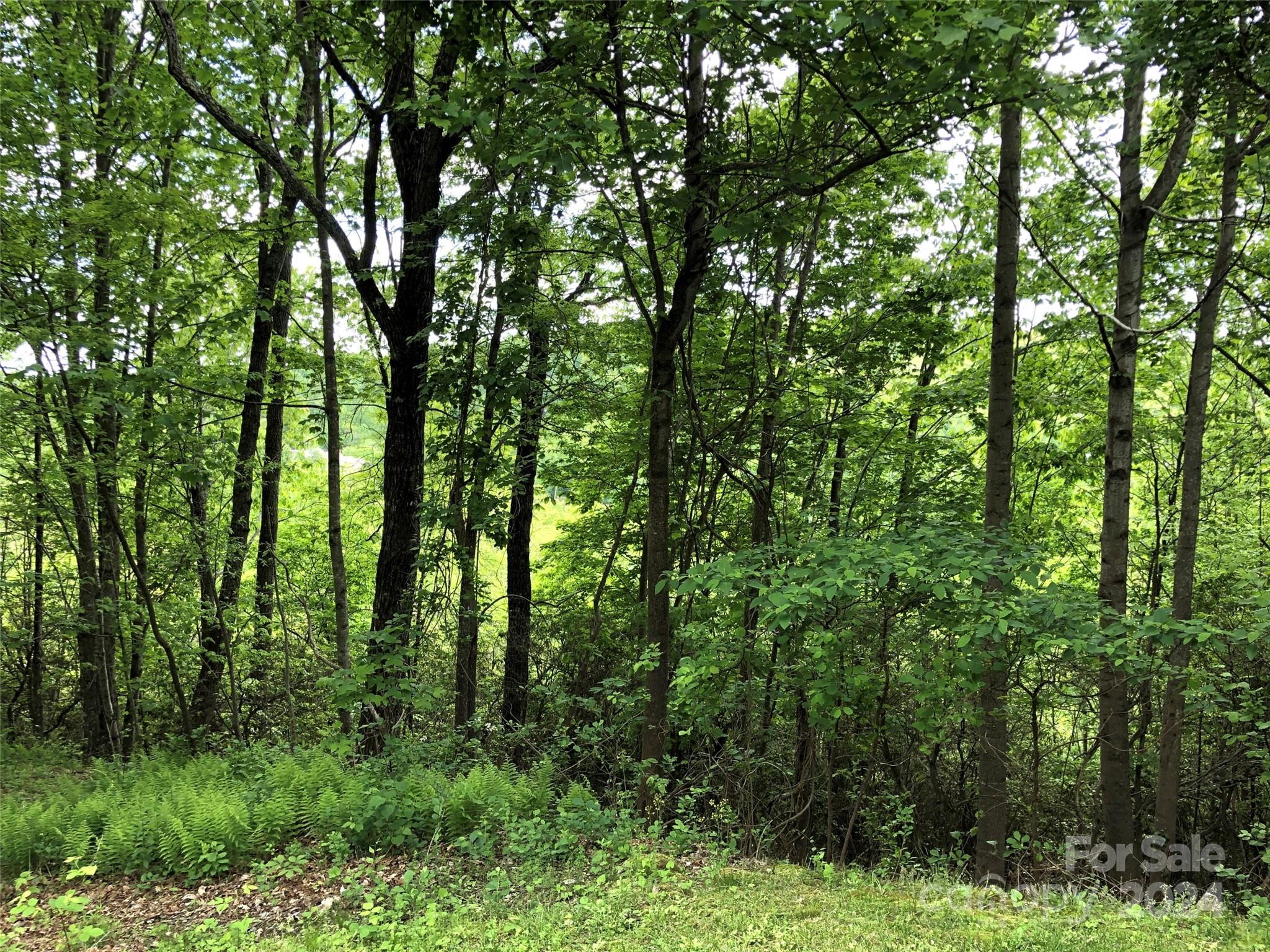 211 Bent Pine Trace Hendersonville NC 28739