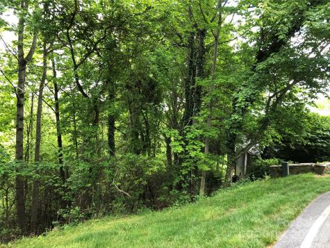 211 Bent Pine Trace Hendersonville NC 28739
