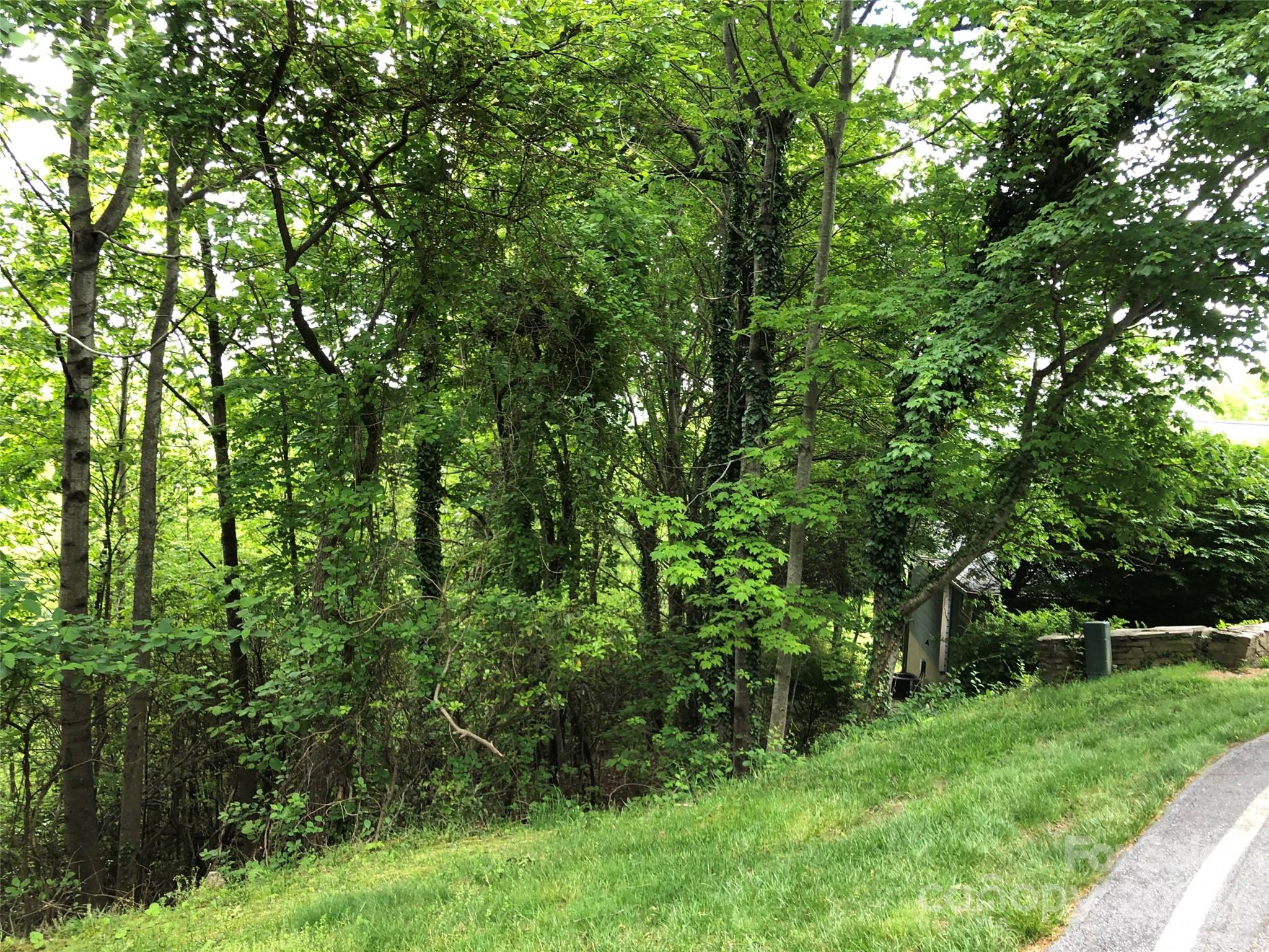 211 Bent Pine Trace Hendersonville NC 28739