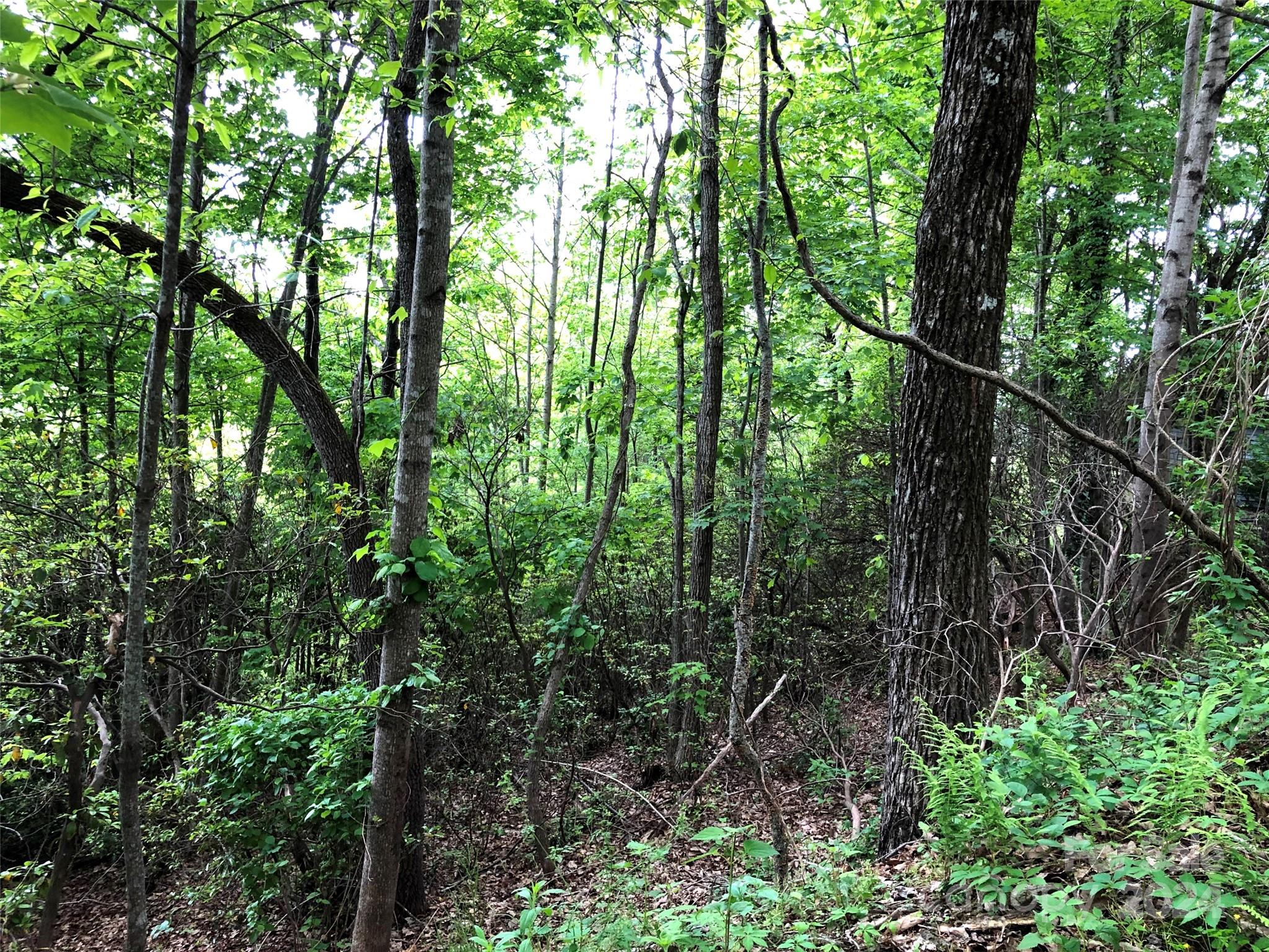 211 Bent Pine Trace Hendersonville NC 28739
