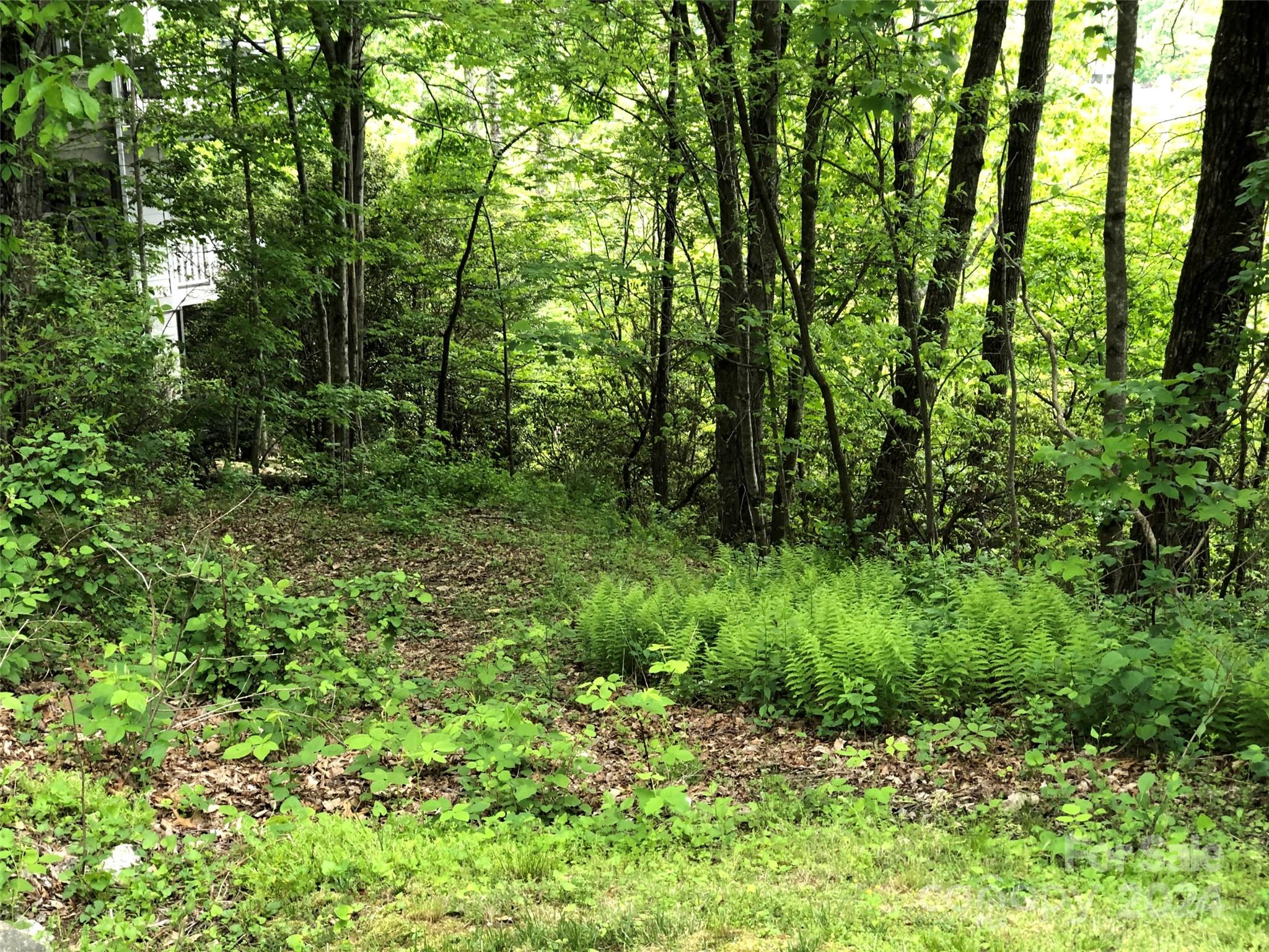211 Bent Pine Trace Hendersonville NC 28739