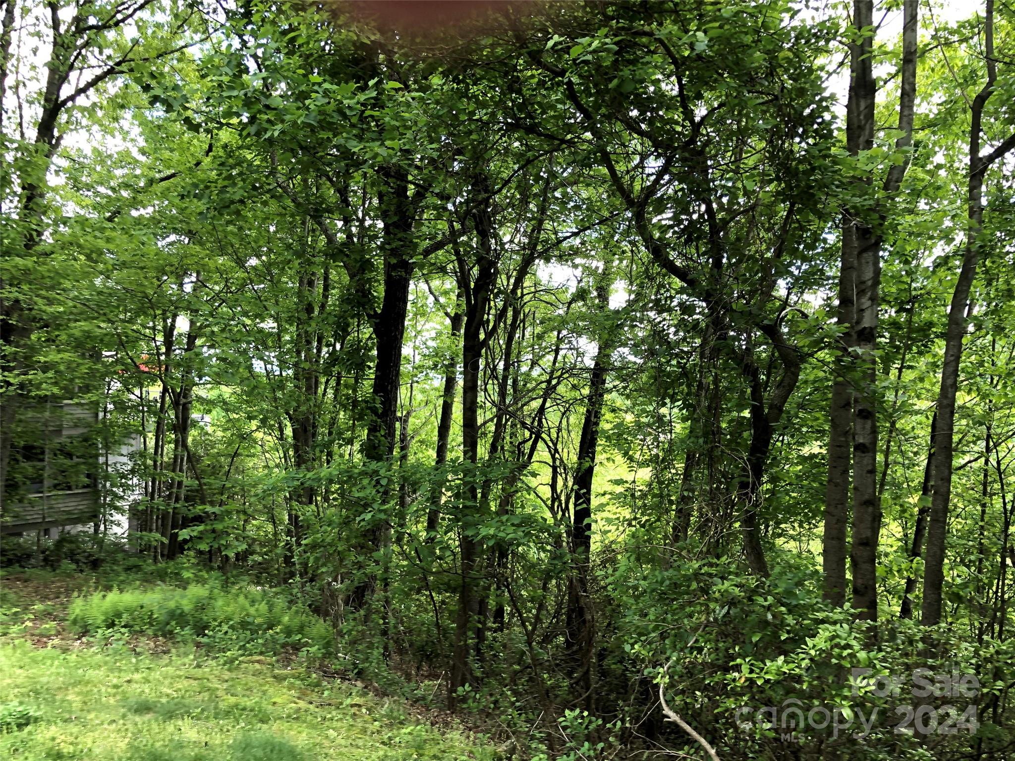 211 Bent Pine Trace Hendersonville NC 28739