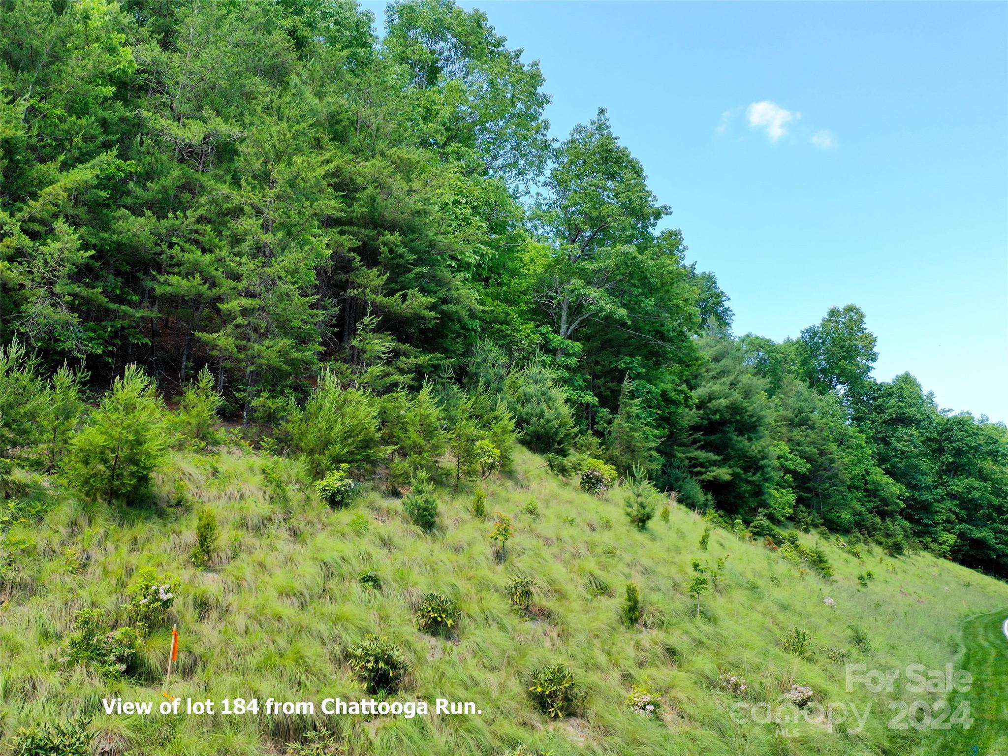 211 Bent Pine Trace Hendersonville NC 28739