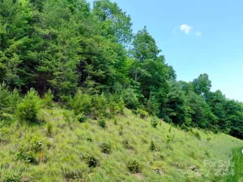 211 Bent Pine Trace Hendersonville NC 28739