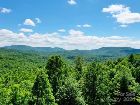 211 Bent Pine Trace Hendersonville NC 28739