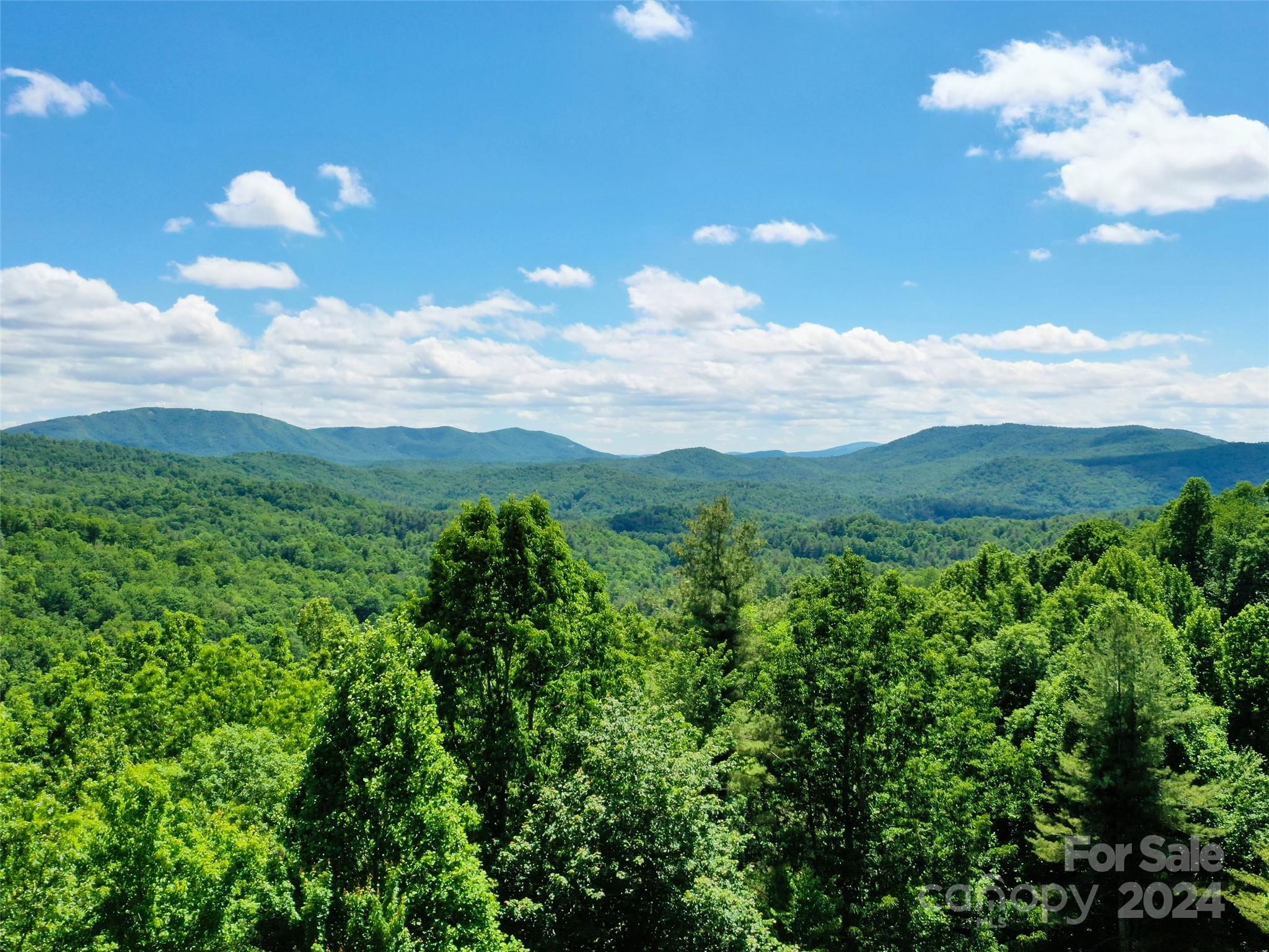 211 Bent Pine Trace Hendersonville NC 28739