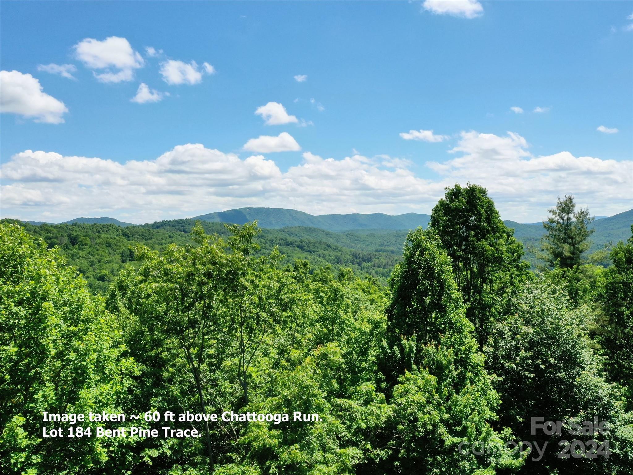 211 Bent Pine Trace Hendersonville NC 28739