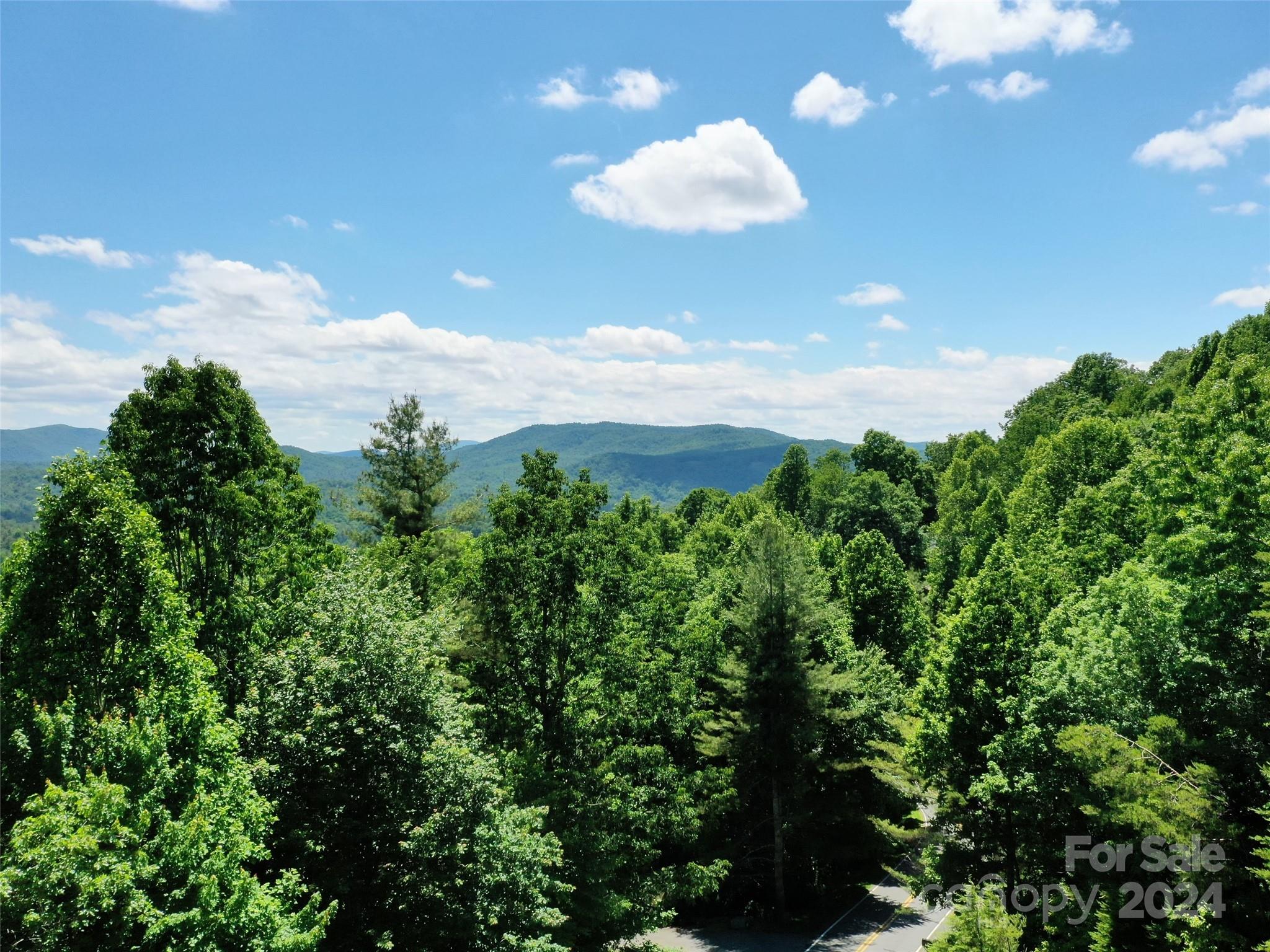 211 Bent Pine Trace Hendersonville NC 28739