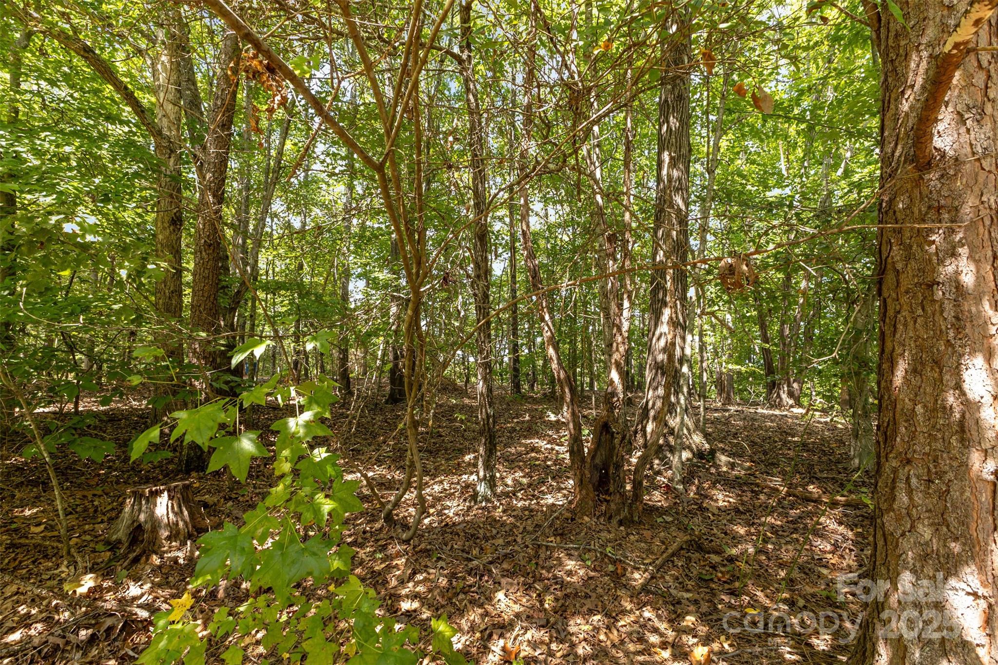8068 Summit Ridge Drive Catawba NC 28609