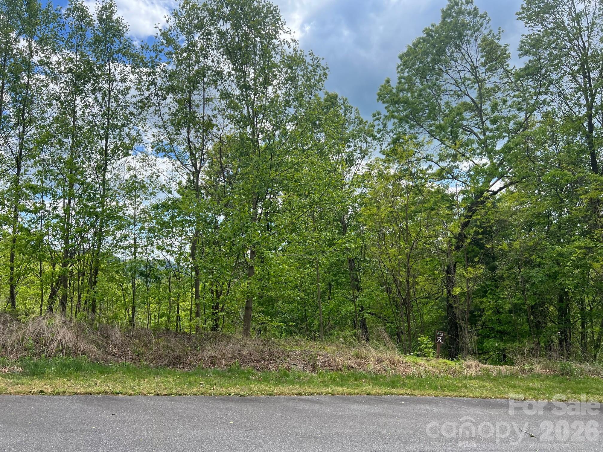531 Roca Vista Drive Lenoir NC 28645