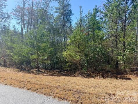 Tbd John Wilson Lane Collettsville NC 28645