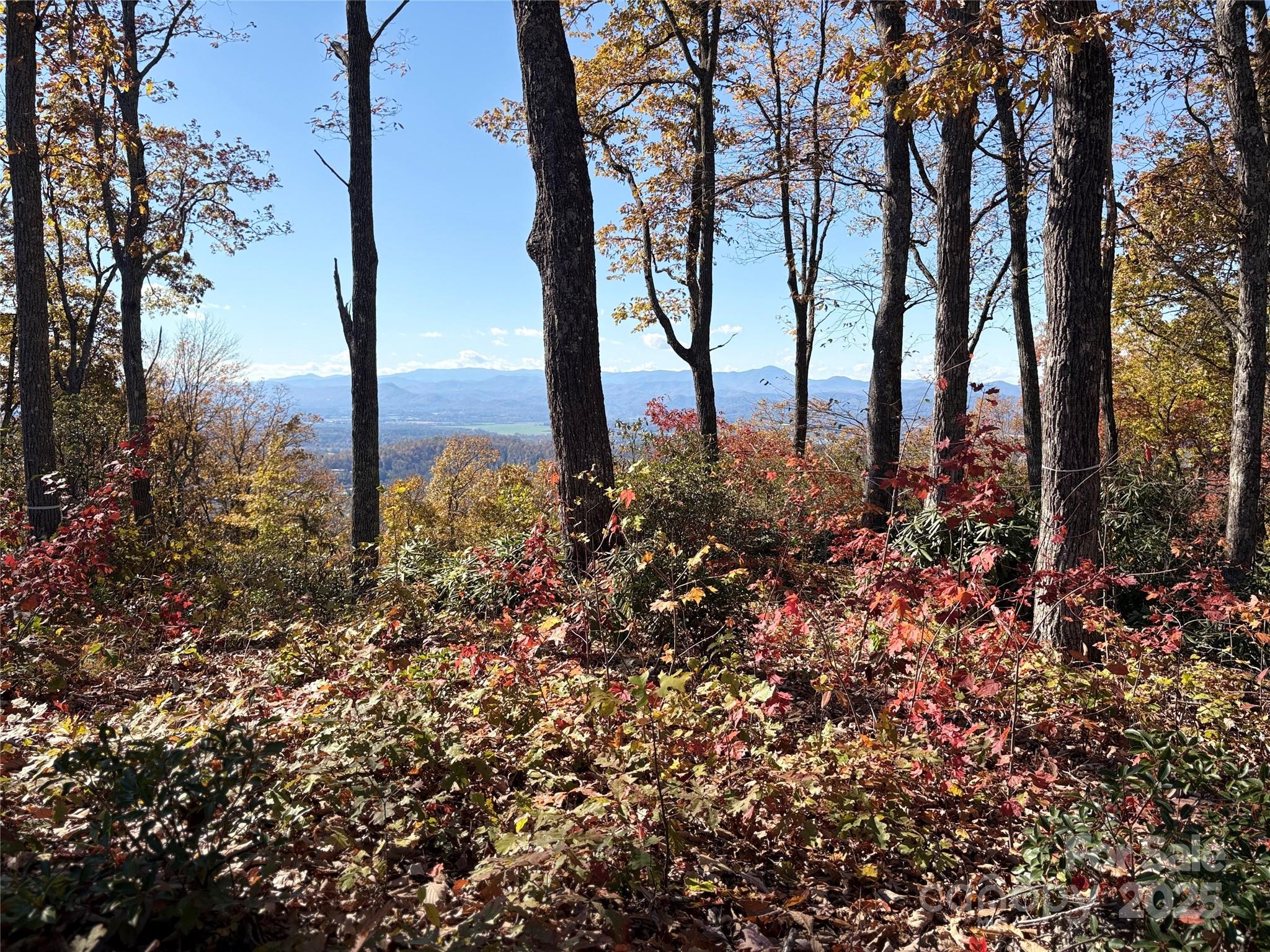 Lot 64 Feather Stone Drive Fletcher NC 28732