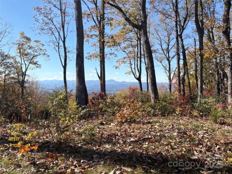 Lot 64 Feather Stone Drive Fletcher NC 28732