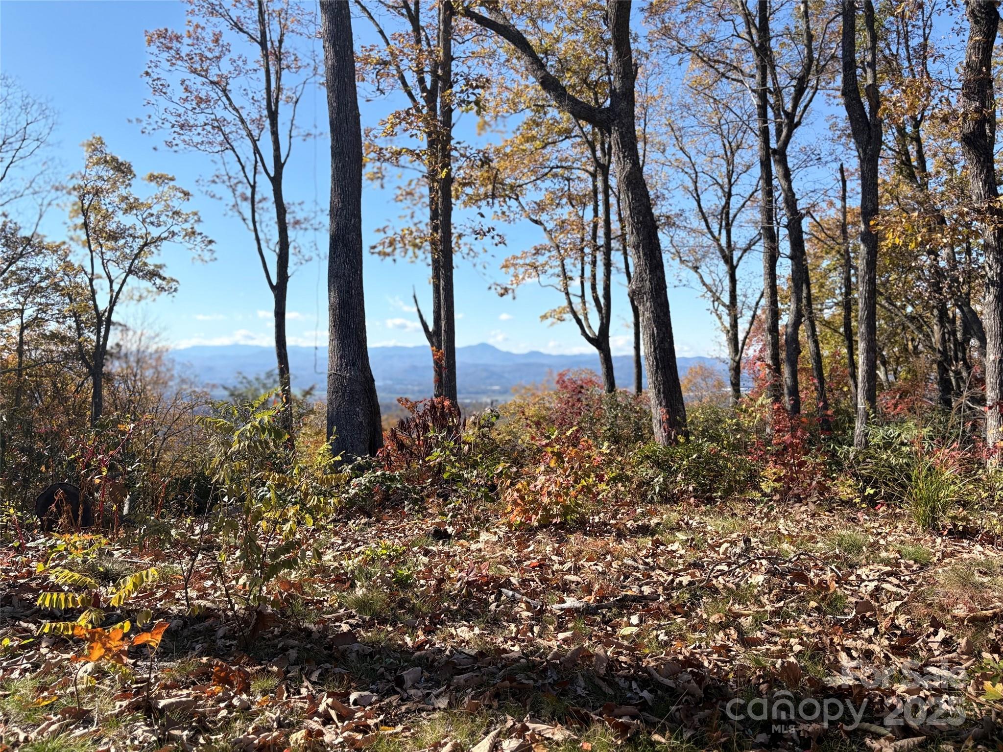 Lot 64 Feather Stone Drive Fletcher NC 28732