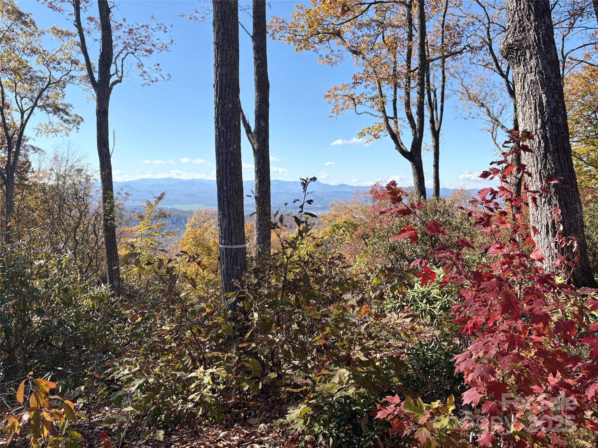 Lot 64 Feather Stone Drive Fletcher NC 28732