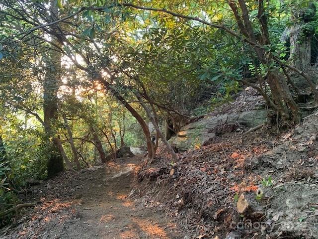 Lot 64 Feather Stone Drive Fletcher NC 28732