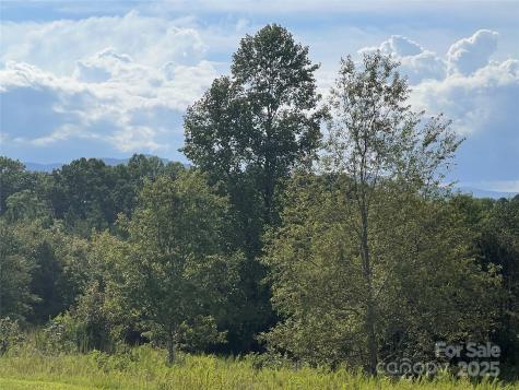 9999 Moore Road Tryon NC 28782