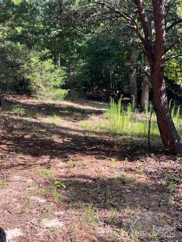 9999 Moore Road Tryon NC 28782