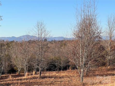 9999 Moore Road Tryon NC 28782