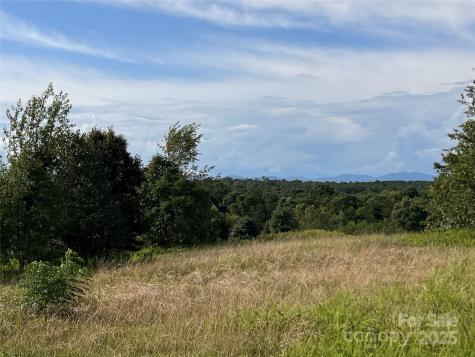 9999 Moore Road Tryon NC 28782