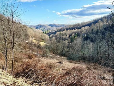 Tbd Willard Johnson Road Vilas NC 28692