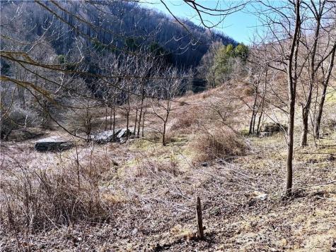 Tbd Willard Johnson Road Vilas NC 28692