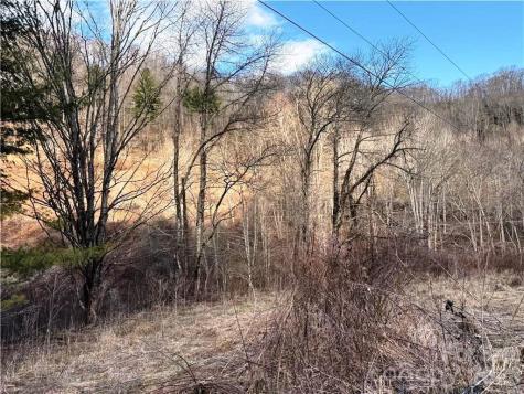 Tbd Willard Johnson Road Vilas NC 28692