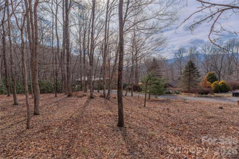 1345 Country Club Drive Canton NC 28716