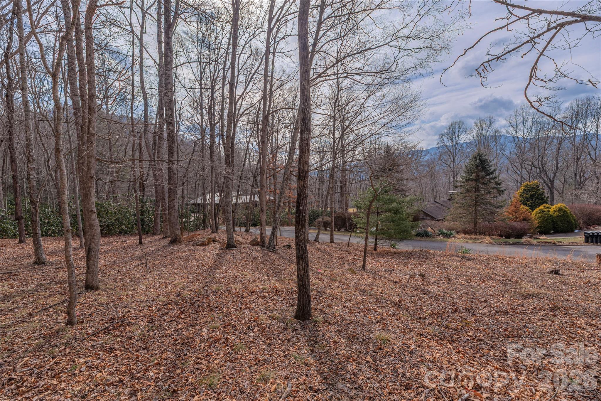 1345 Country Club Drive Canton NC 28716