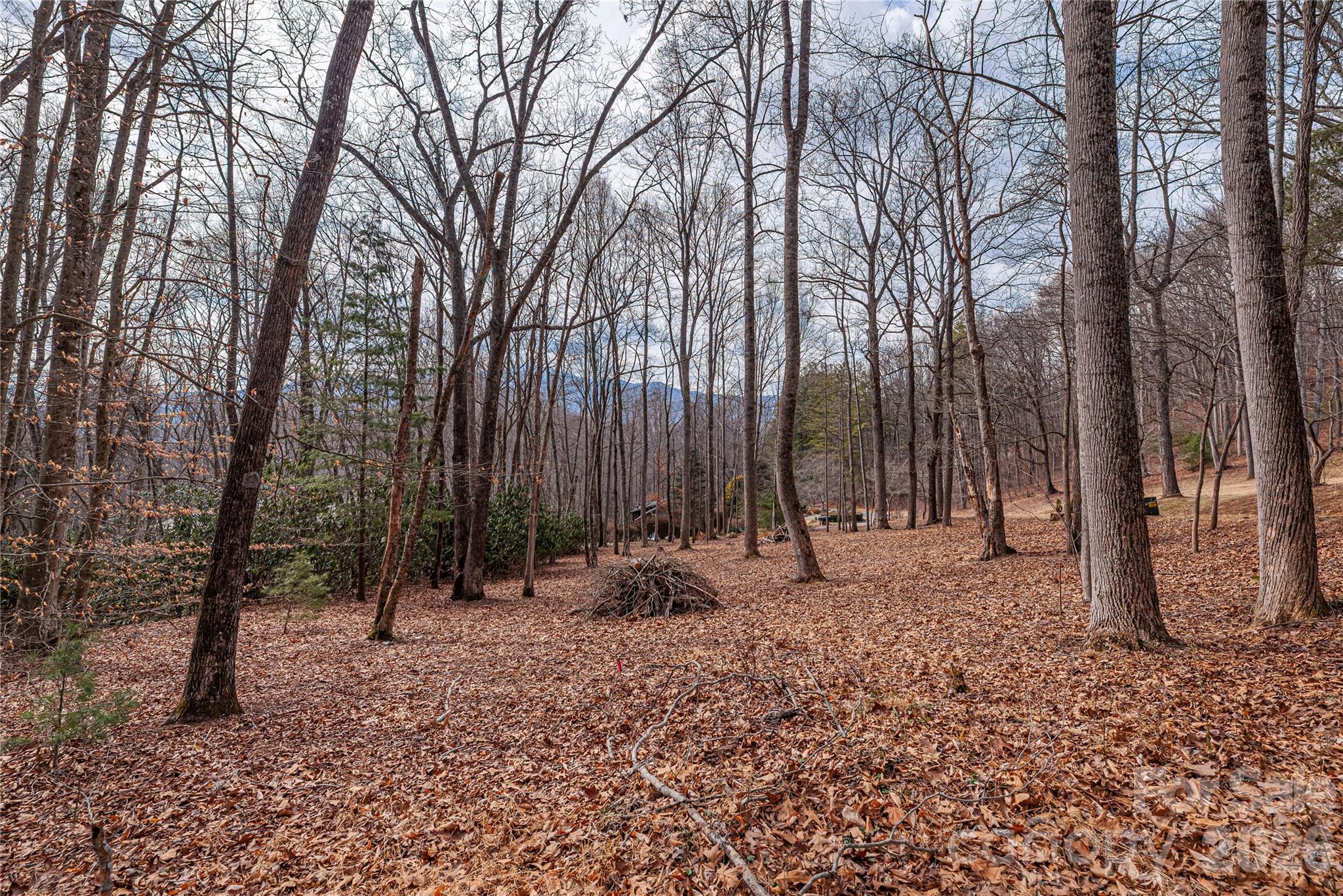 1345 Country Club Drive Canton NC 28716