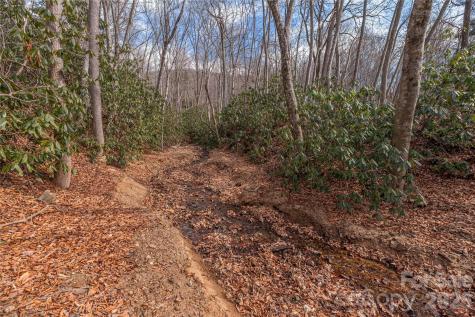 1345 Country Club Drive Canton NC 28716