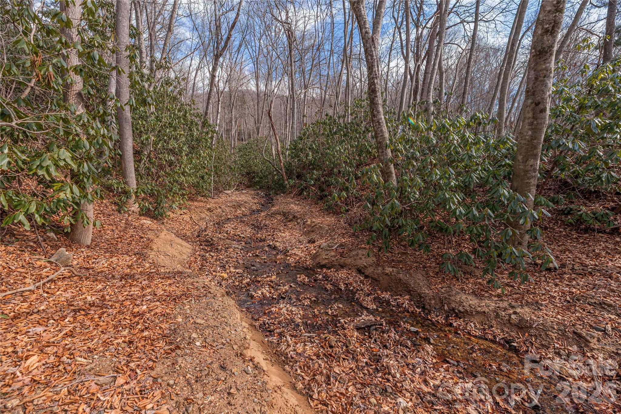 1345 Country Club Drive Canton NC 28716