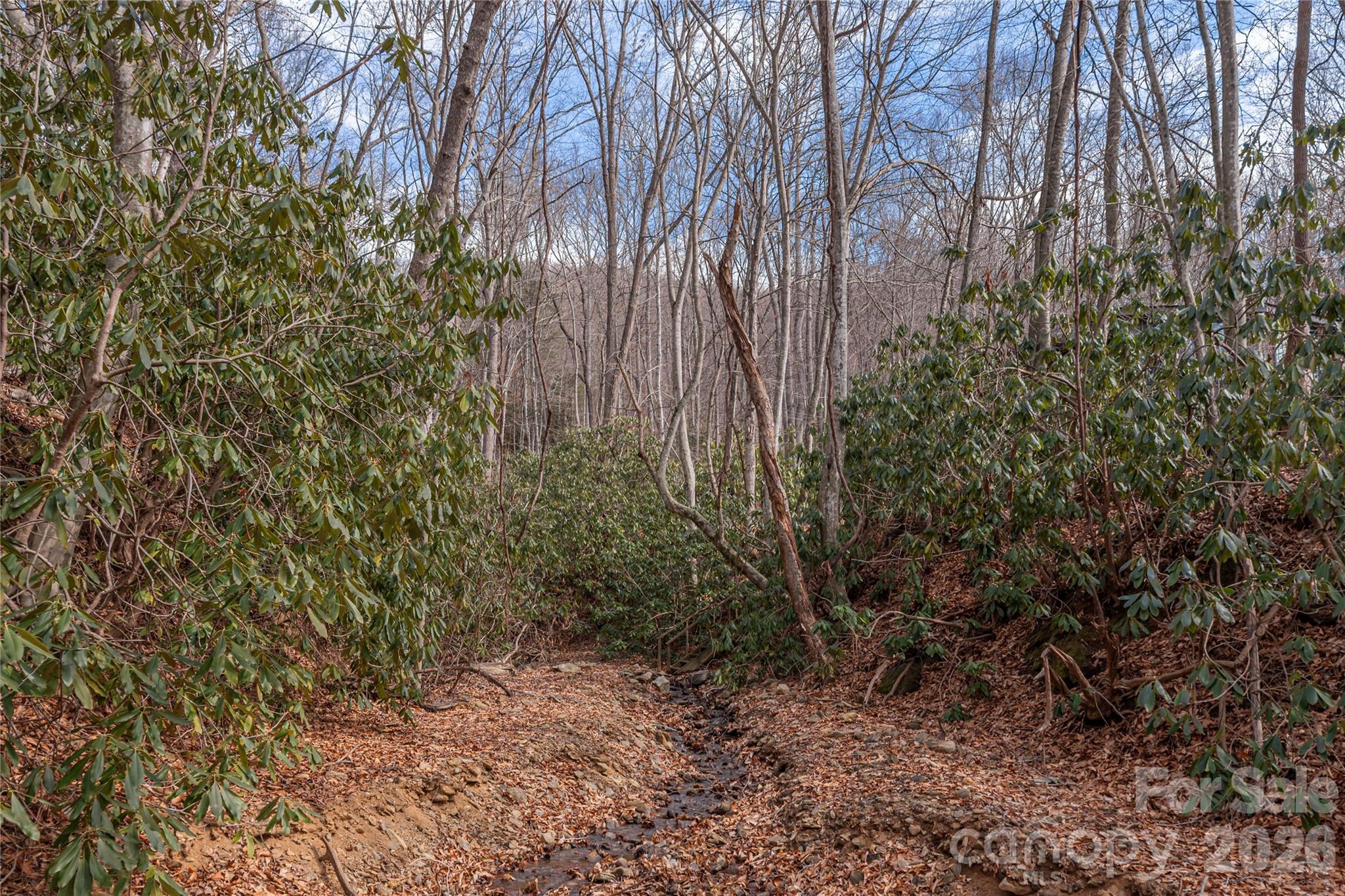 1345 Country Club Drive Canton NC 28716