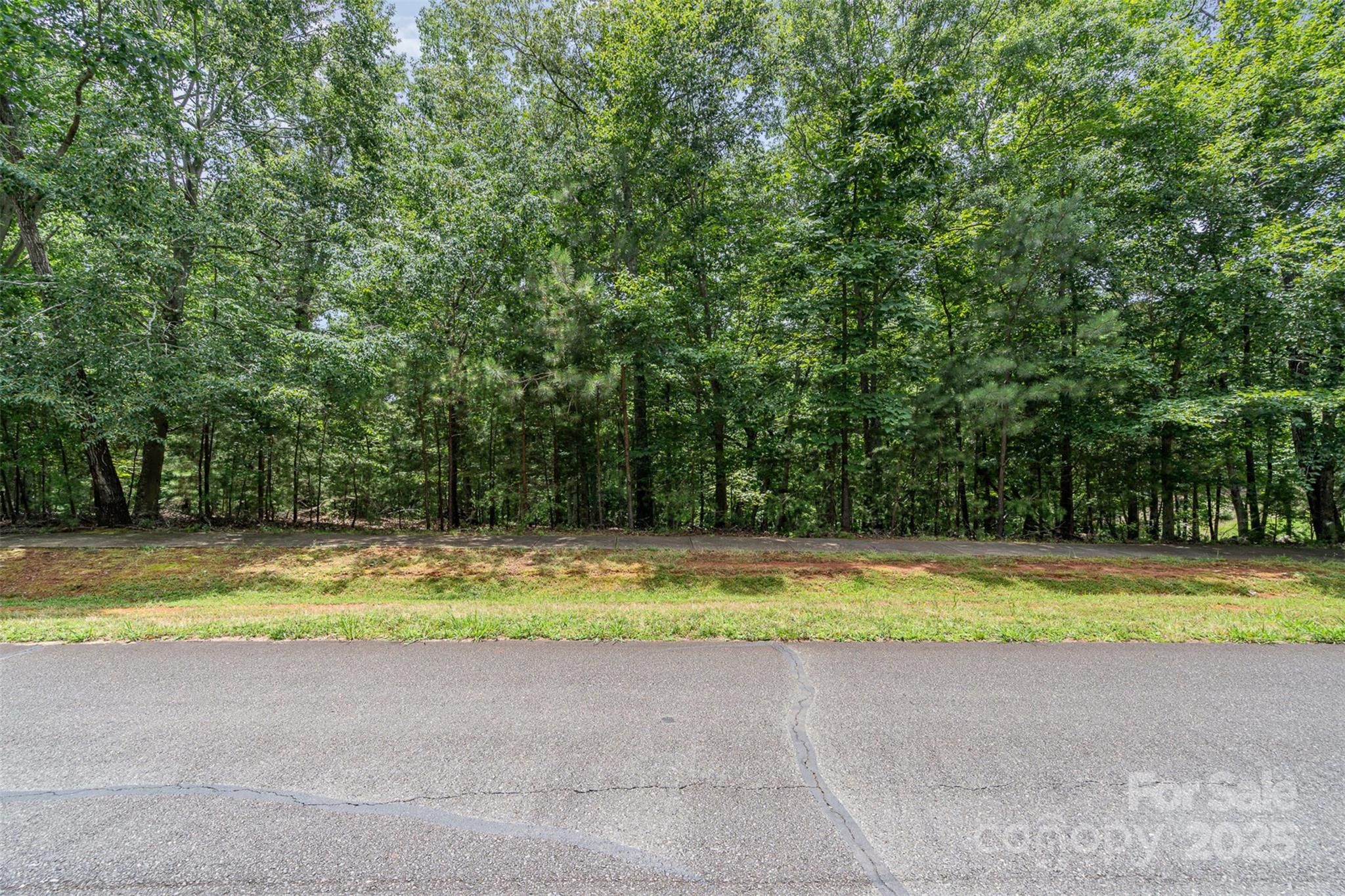 14229 Roe Buck Meadow Lane Charlotte NC 28278