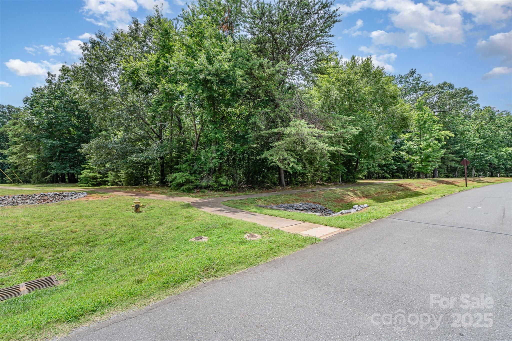 14229 Roe Buck Meadow Lane Charlotte NC 28278