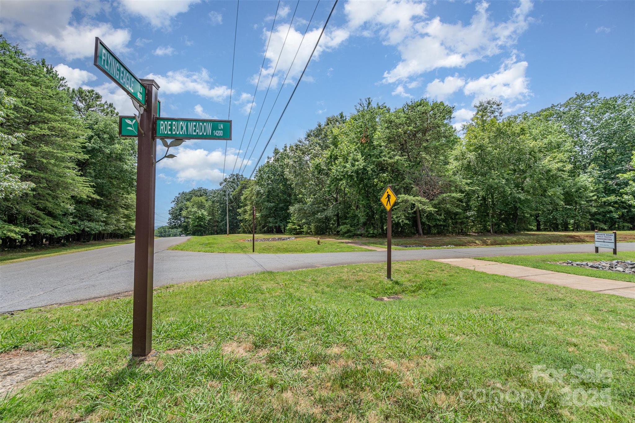 14229 Roe Buck Meadow Lane Charlotte NC 28278