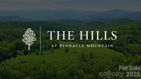 4105 Pinnacle Mountain Road Zirconia NC 28790