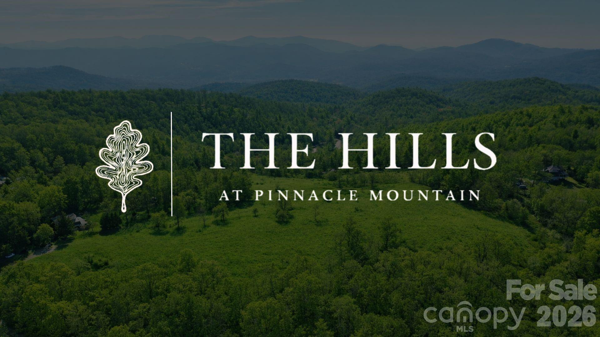 4105 Pinnacle Mountain Road Zirconia NC 28790
