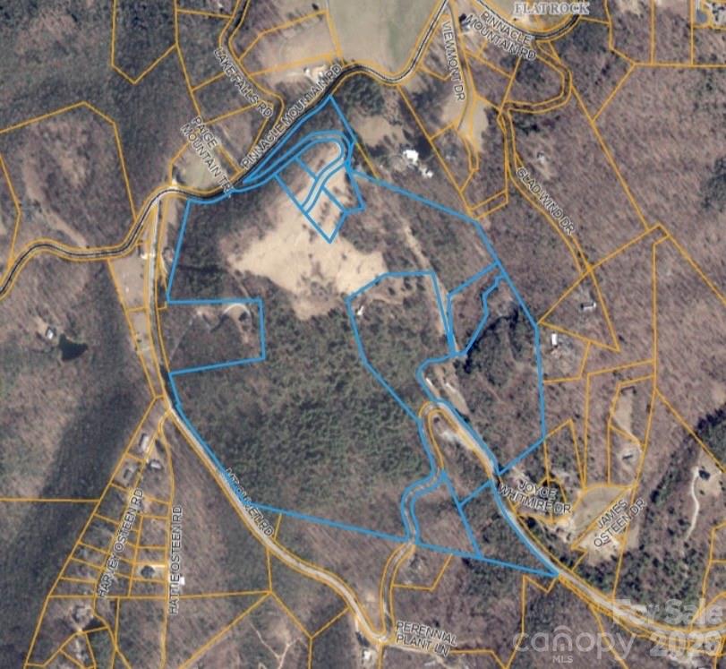 4105 Pinnacle Mountain Road Zirconia NC 28790