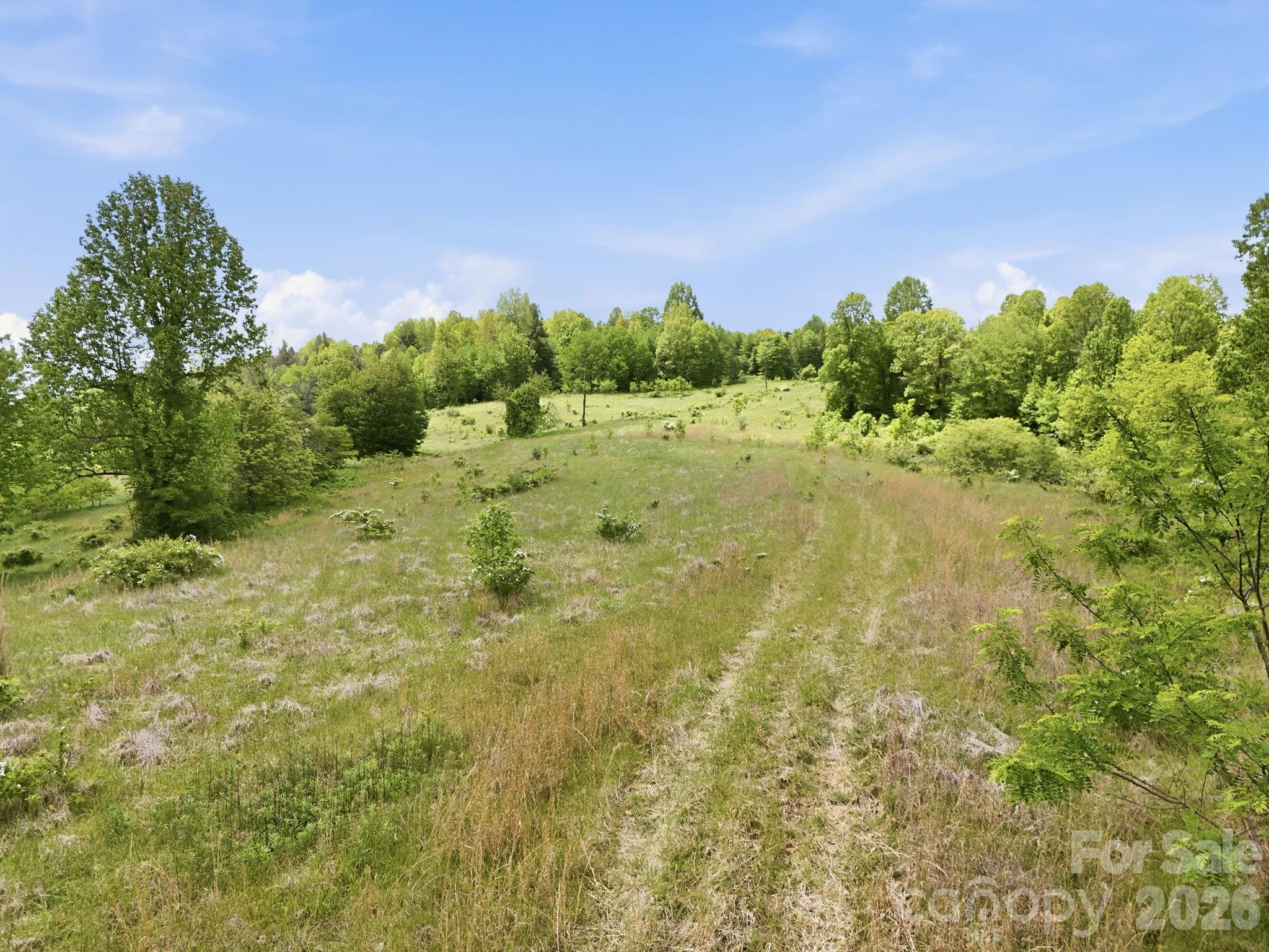 4105 Pinnacle Mountain Road Zirconia NC 28790
