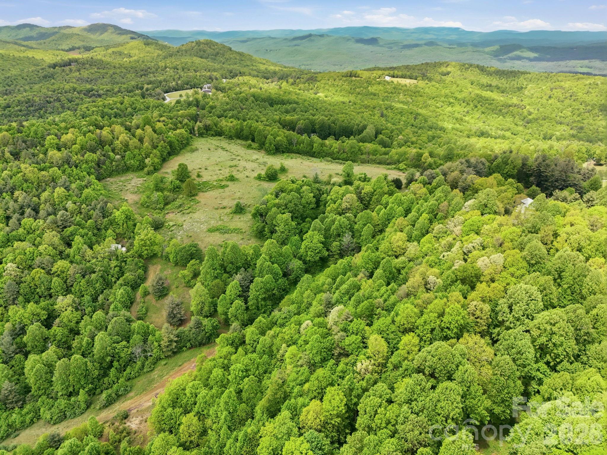 4105 Pinnacle Mountain Road Zirconia NC 28790