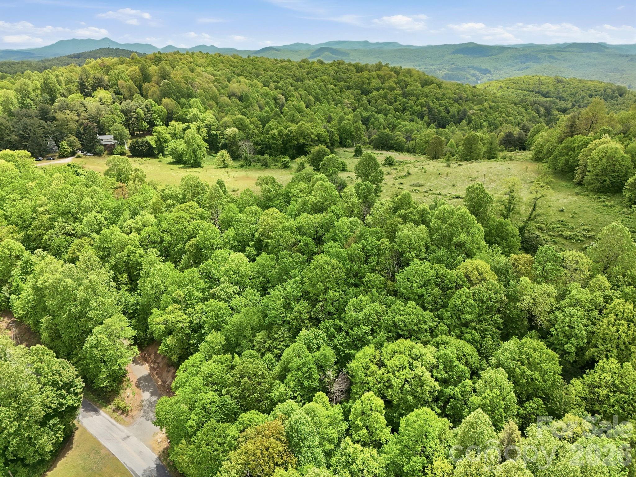 4105 Pinnacle Mountain Road Zirconia NC 28790
