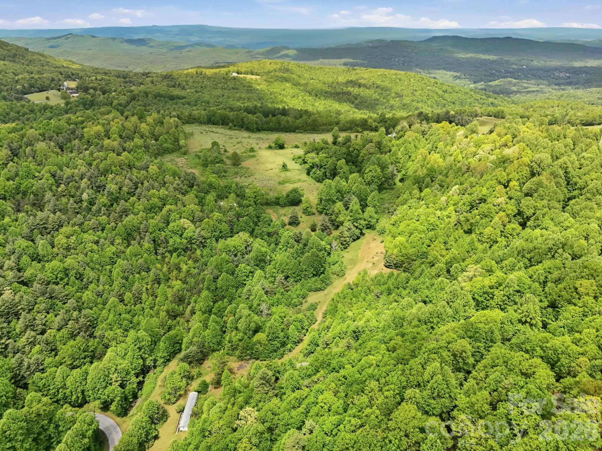 4105 Pinnacle Mountain Road Zirconia NC 28790