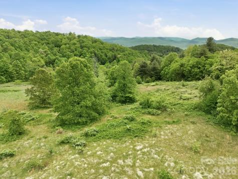4105 Pinnacle Mountain Road Zirconia NC 28790