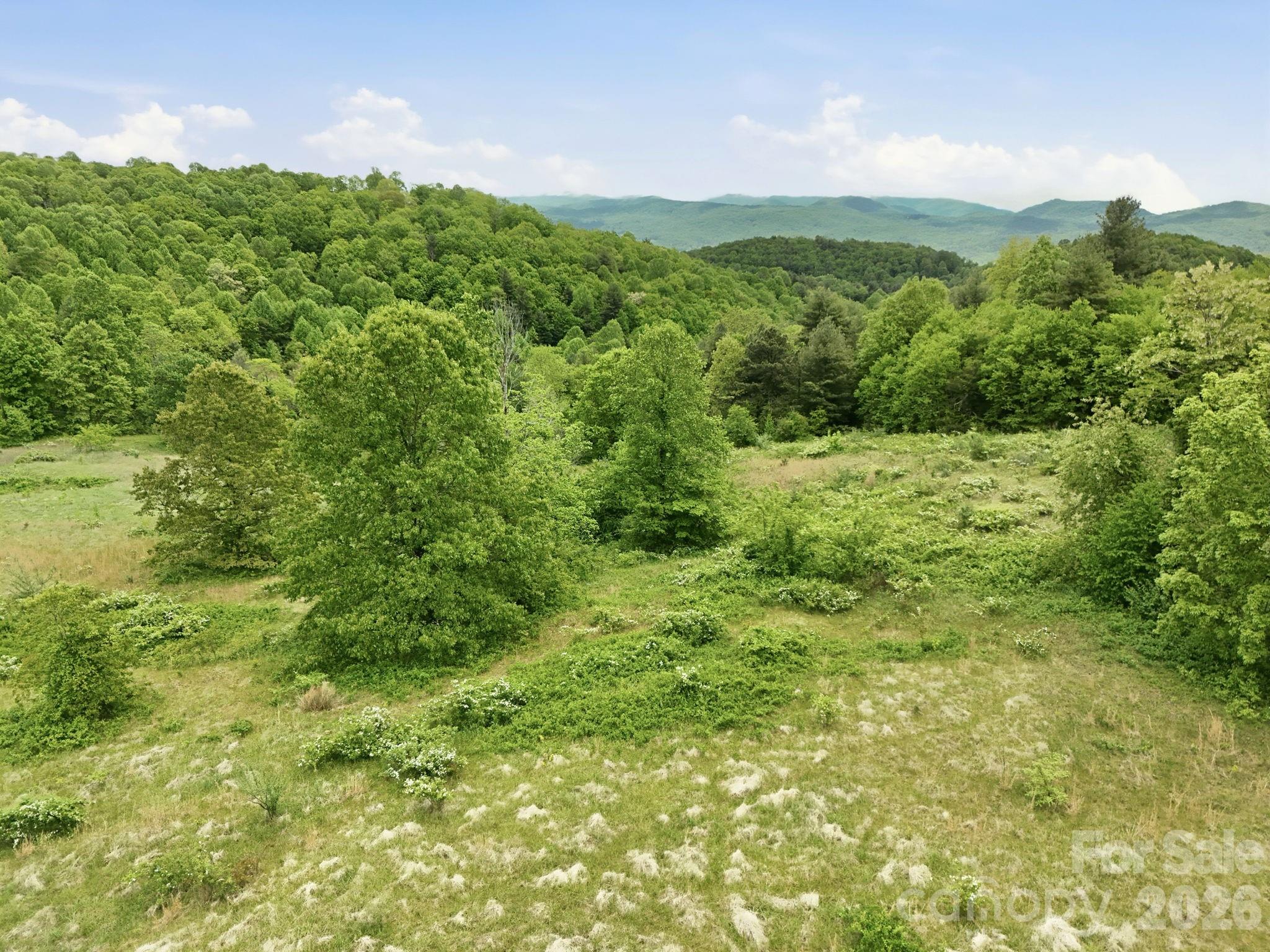 4105 Pinnacle Mountain Road Zirconia NC 28790
