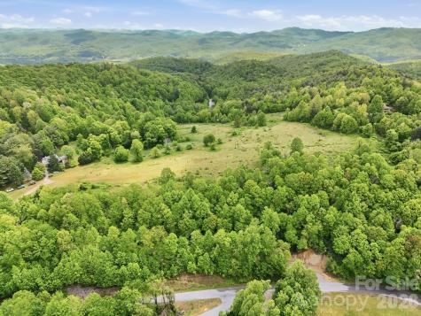 4105 Pinnacle Mountain Road Zirconia NC 28790