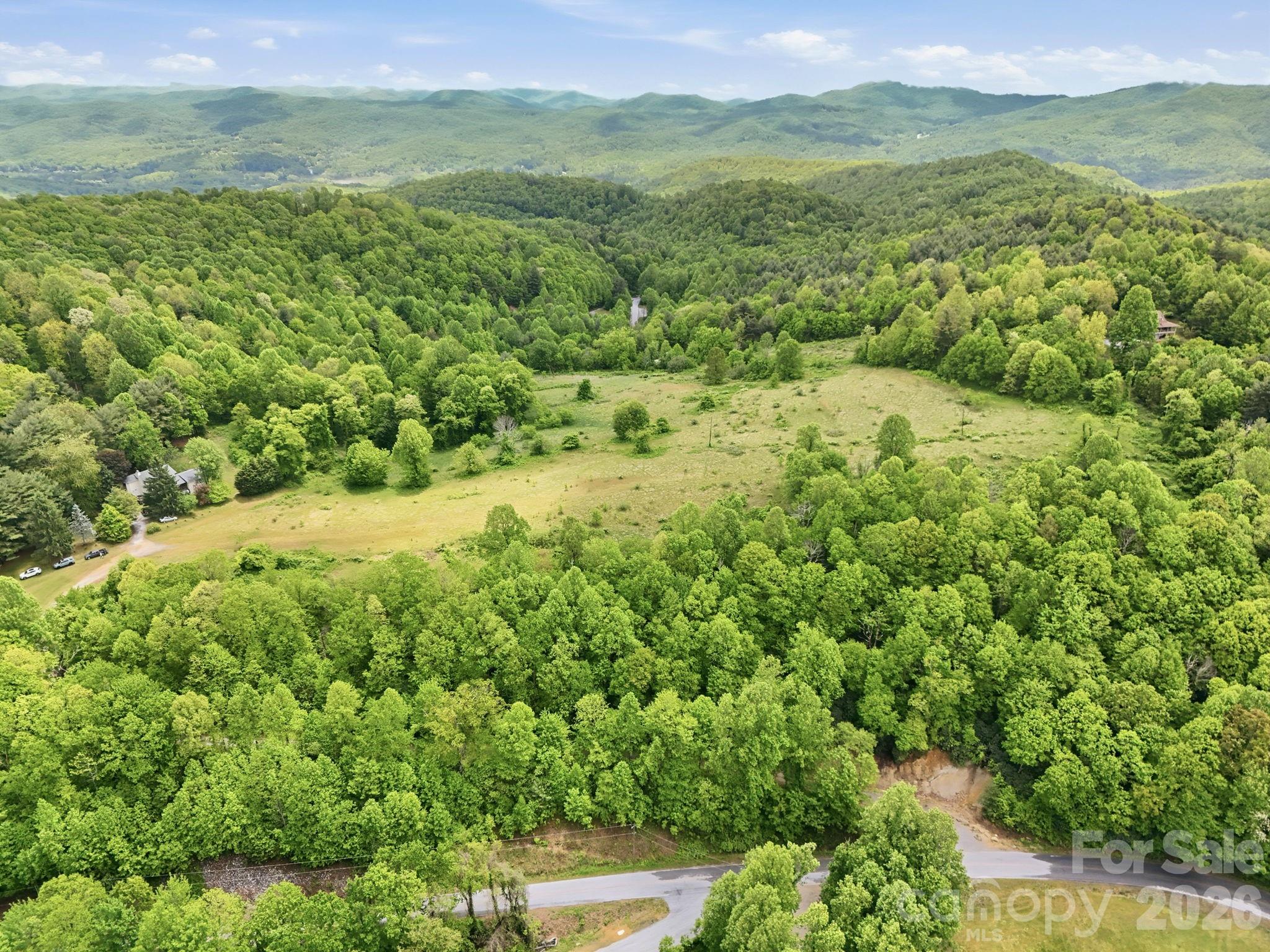 4105 Pinnacle Mountain Road Zirconia NC 28790