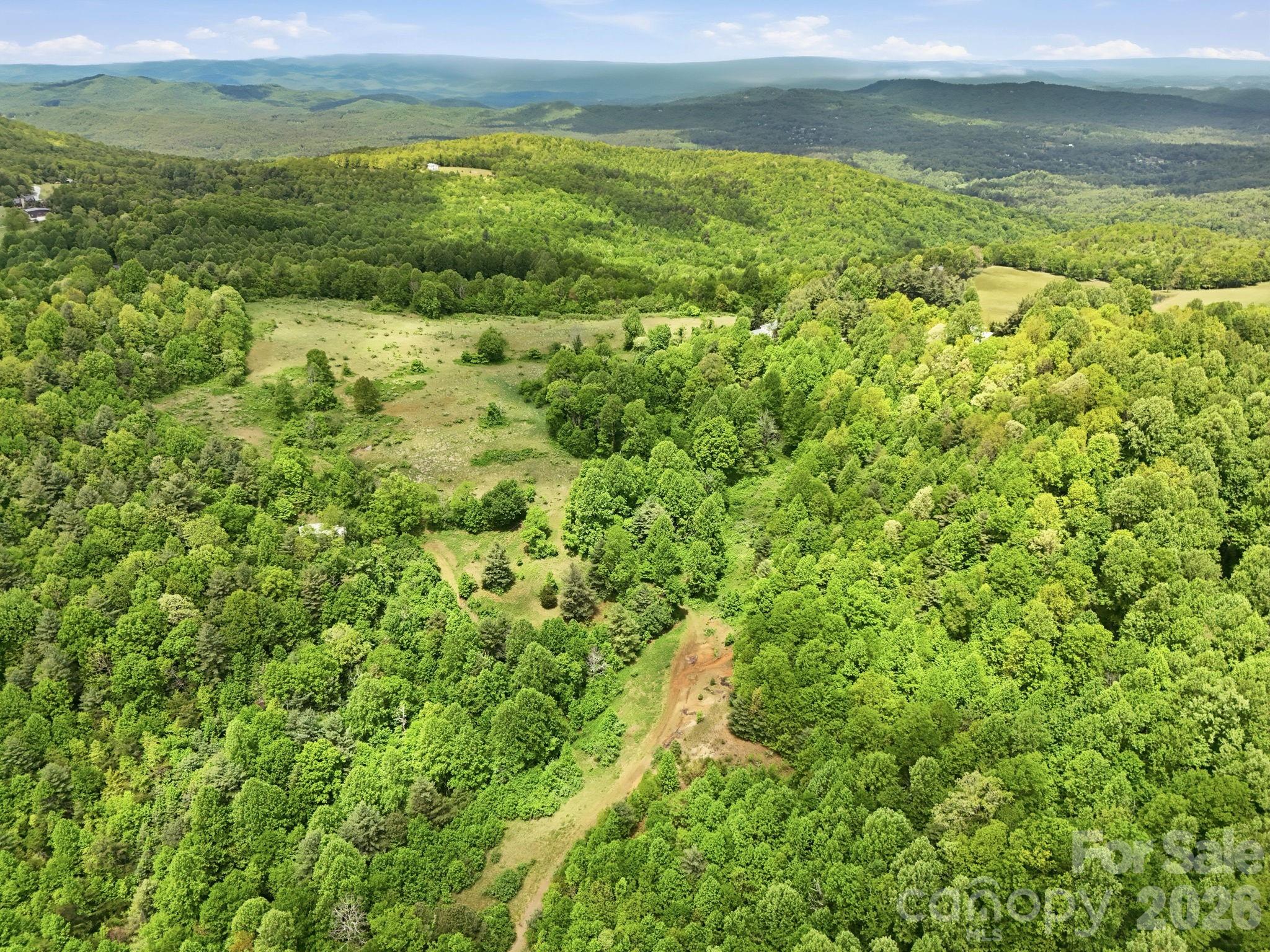 4105 Pinnacle Mountain Road Zirconia NC 28790
