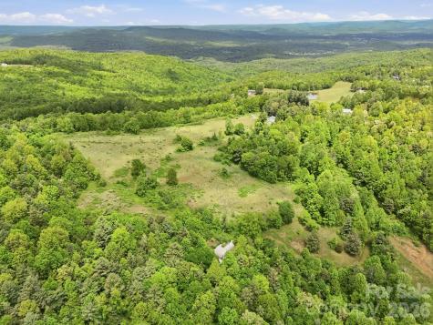 4105 Pinnacle Mountain Road Zirconia NC 28790